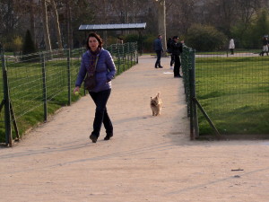Dogs in Paris Park