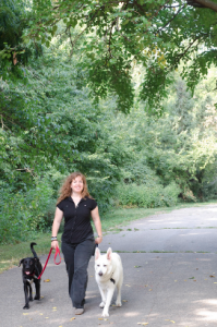 Jennifer Cattet walking dogs