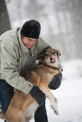 do dogs like rough petting