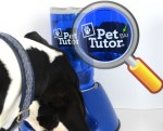 Win a Pet Tutor® for your unsung hero.